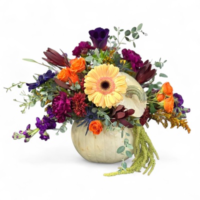 Pumpkin Spice Blooms Pumpkin Spice Blooms